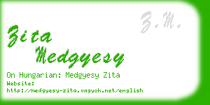 zita medgyesy business card